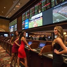 Sportsbook dengan pasar Liga 1 & Piala AFF Antarmuka sportsbook mafia77 untuk Liga 1 dan Piala AFF